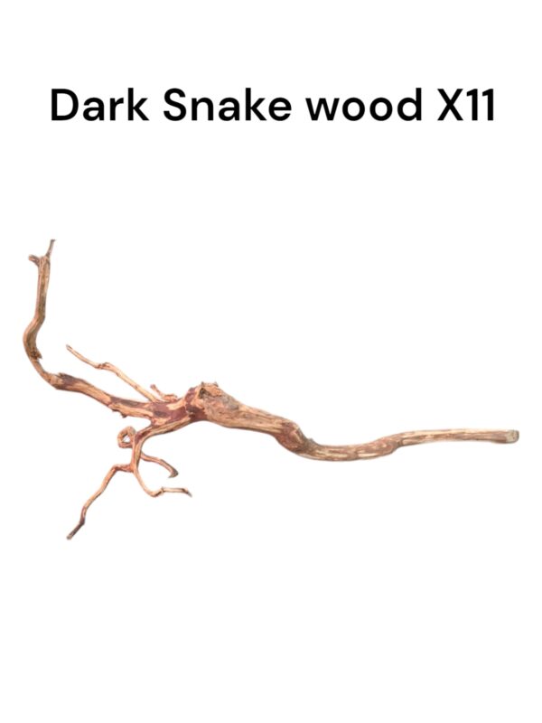 Dark Snake Wood X11